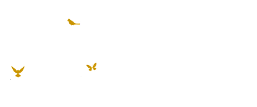 SOS Cosmetics